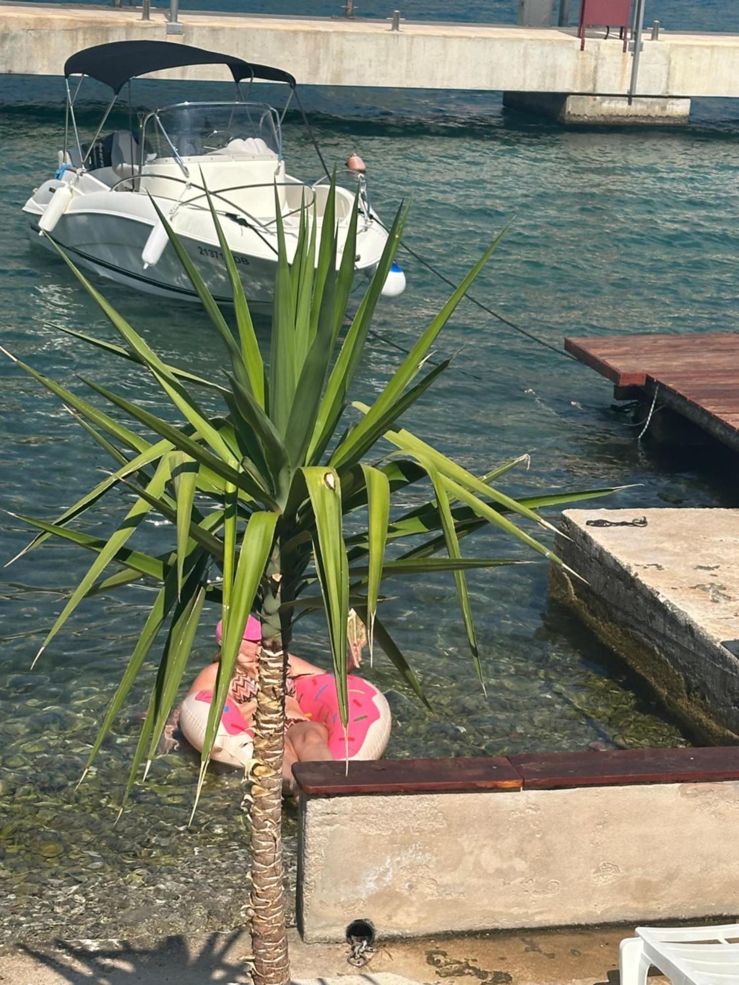 Panda Sea Touch Dubrovnik